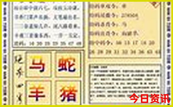 王中王100%期期准澳彩12码